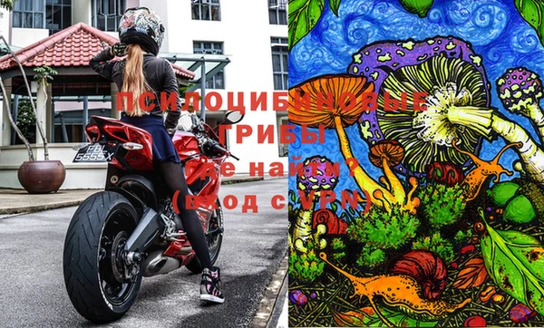 трава Карпинск