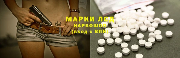 трава Карпинск