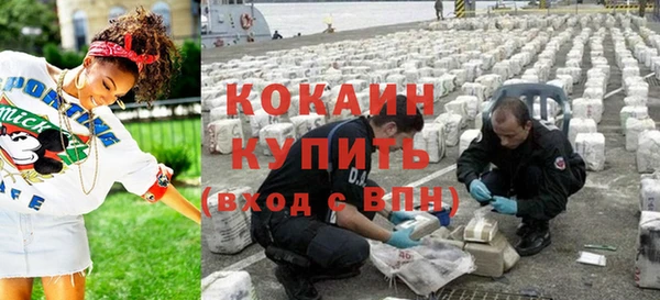 трава Карпинск