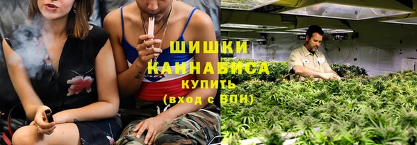 трава Карпинск