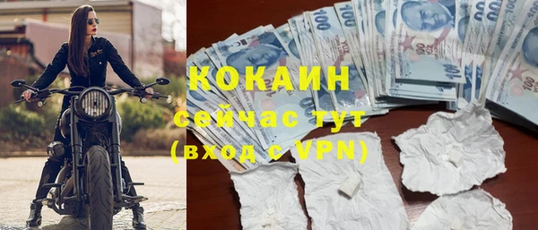 трава Карпинск