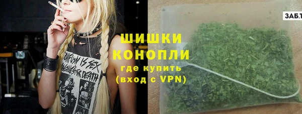 трава Карпинск