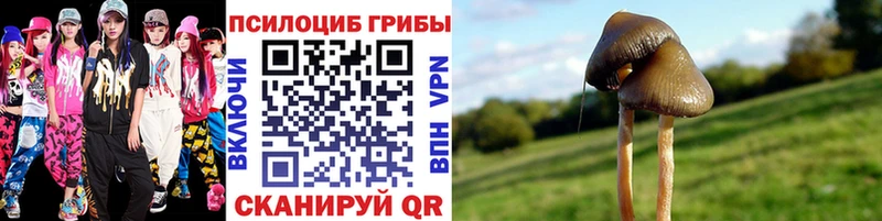 Купить  Венёв  Галлюциногенные грибы мицелий 