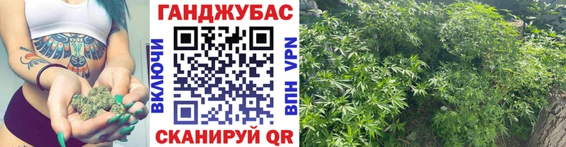 Купить закладки  Венёв  МАРИХУАНА White Widow 